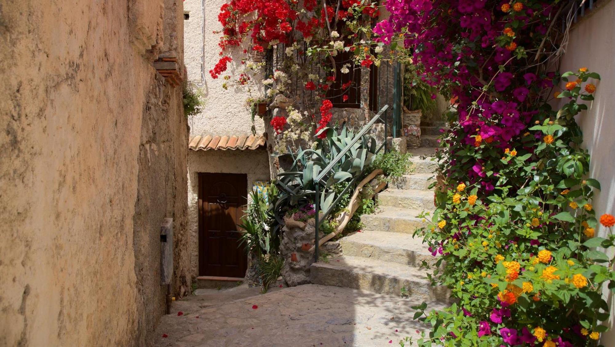 The Lemon Tree House Scalea Exterior foto