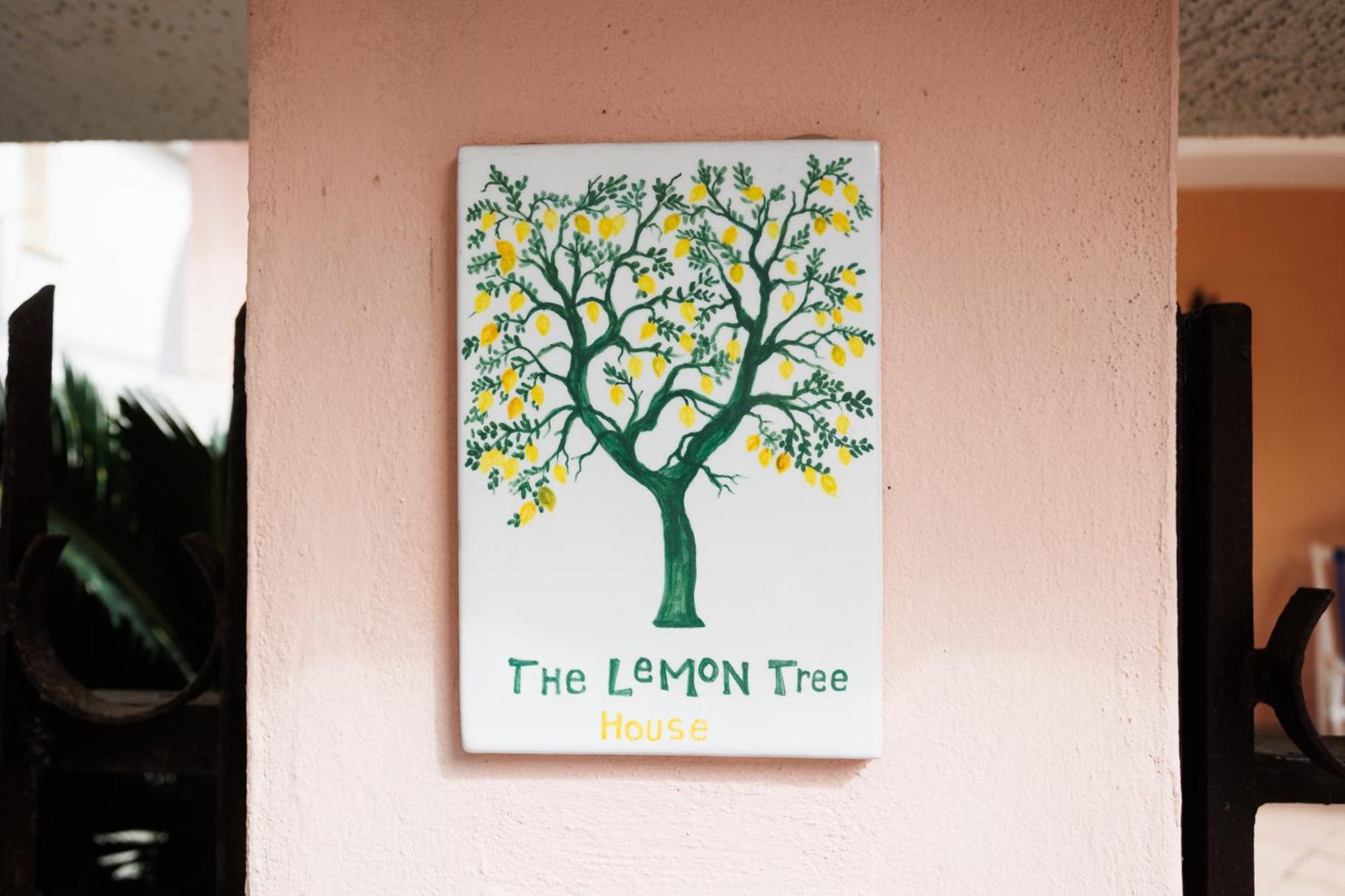 The Lemon Tree House Scalea Exterior foto